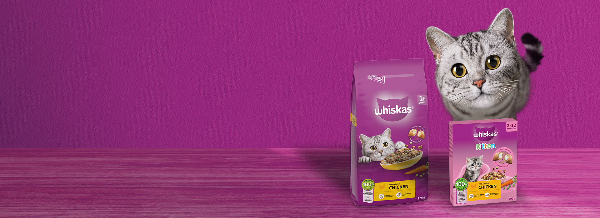 Dry Cat Food Hero Image