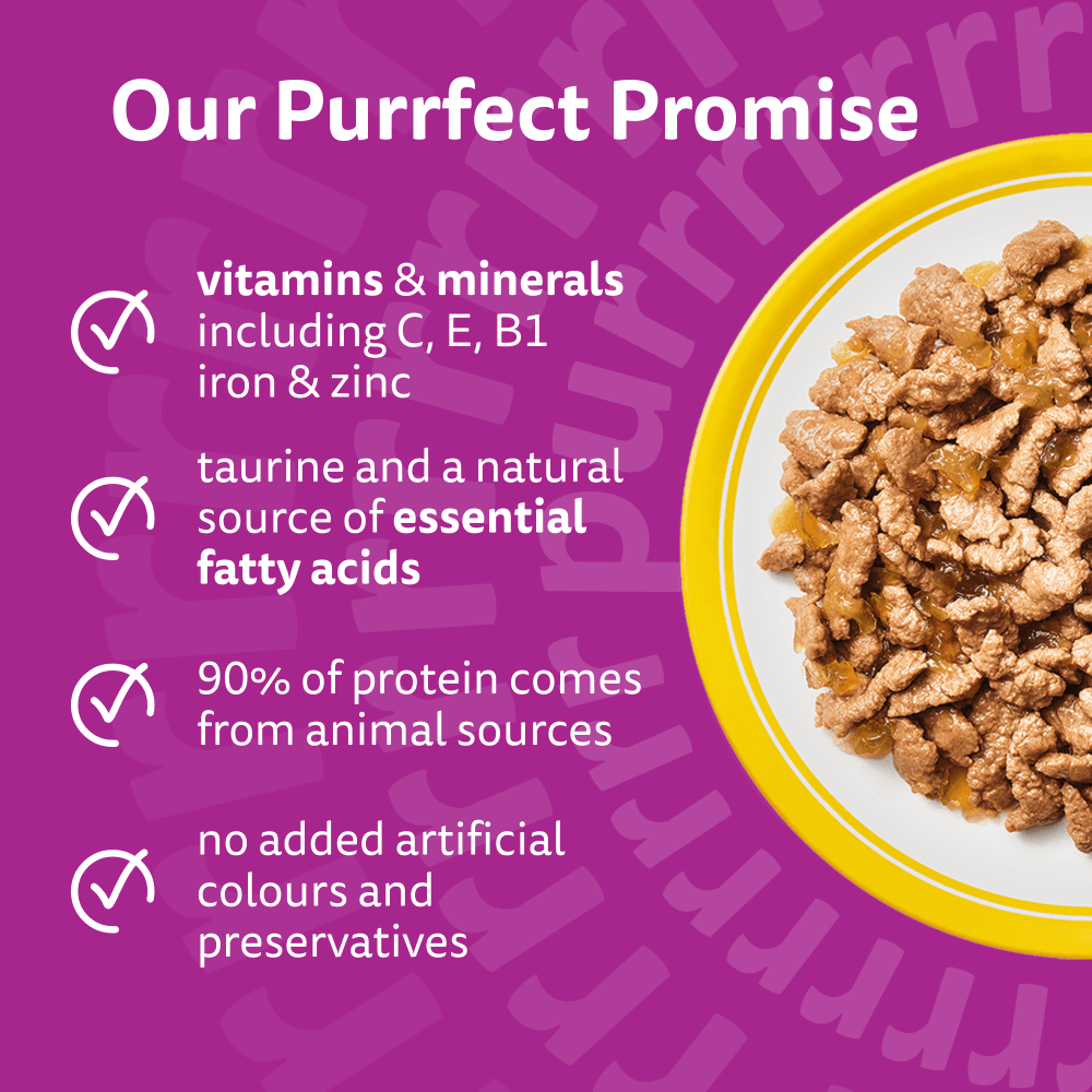 WHISKAS® 1+ Adult Wet Cat Food Pouches in Jelly with Chicken 85g - 3