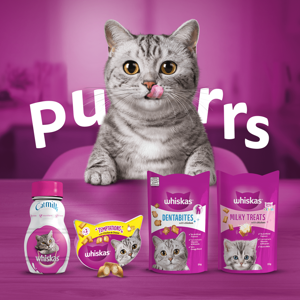 WHISKAS® TEMPTATIONS™ Adult Cat Treats with Salmon flavour 180g - 4