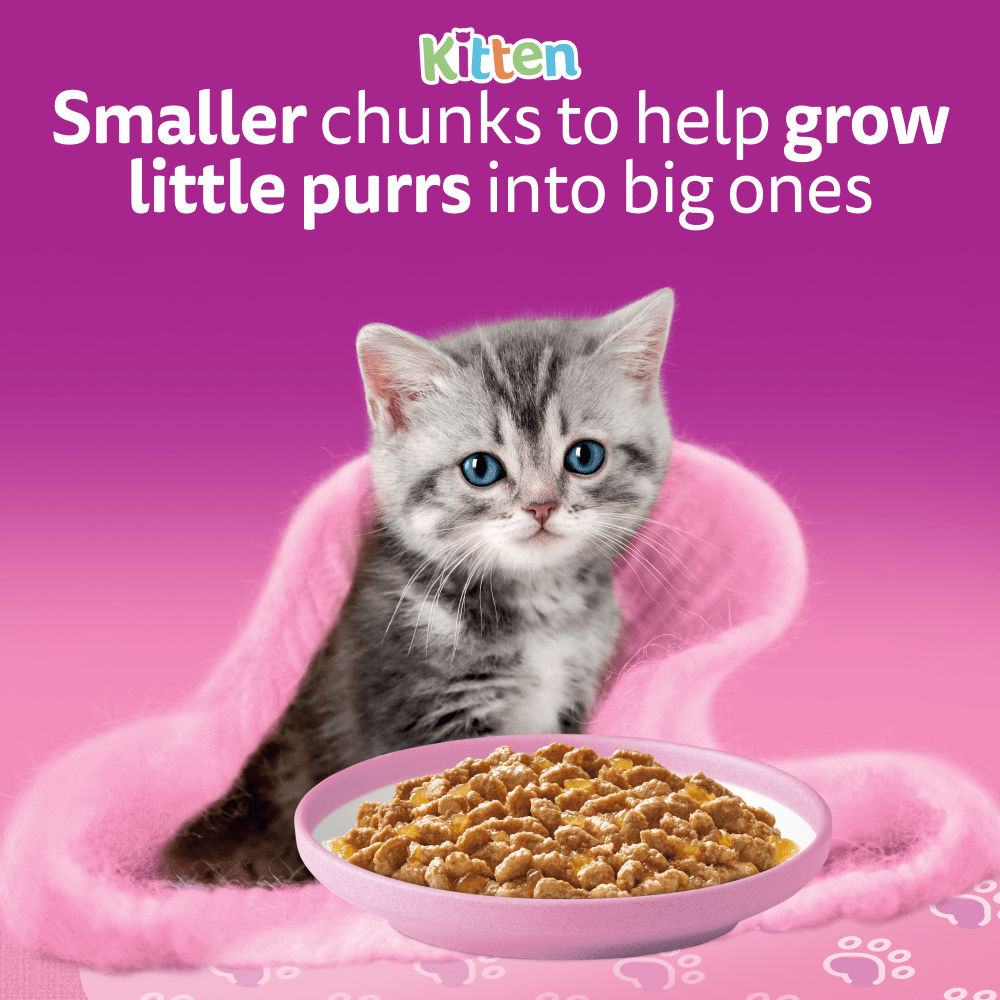 WHISKAS Kitten 2-12 mnths MIXED Menu Wet Cat Food Pouches in Jelly 12 x 85g - 2