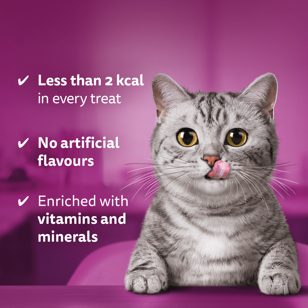 WHISKAS® TEMPTATIONS™ Adult Cat Treats with Salmon flavour 180g - 3