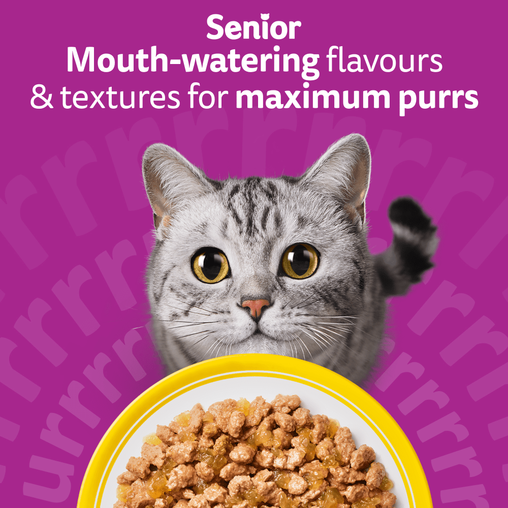 WHISKAS Senior 11+ POULTRY Feasts Wet Cat Food Pouches in Jelly 12 x 85g - 2
