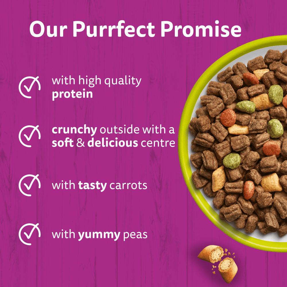 WHISKAS Cat Dry with Lamb Adult 1.9kg, 800g - 3