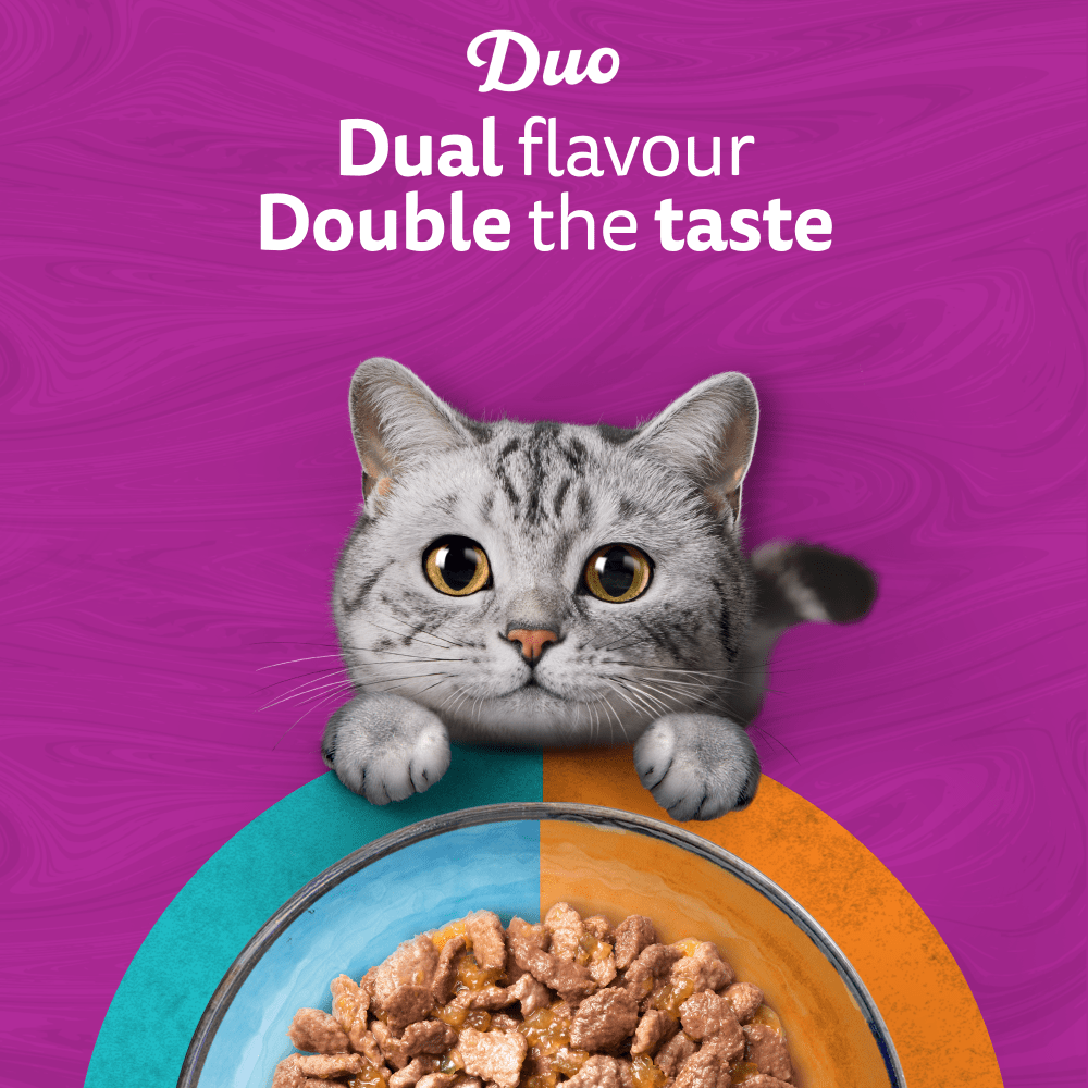 WHISKAS Duo Surf & Turf in Jelly Adult Wet Cat Food Pouch 80x85g, 40x85g, 12x85g - 2
