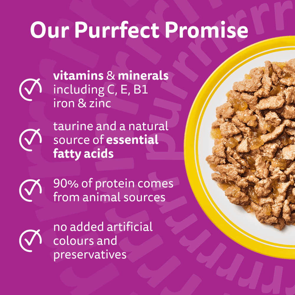 WHISKAS POULTRY FEASTS in Jelly Senior 7+ Wet Cat Food Pouch 80x85g, 40x85g, 12x85g - 3