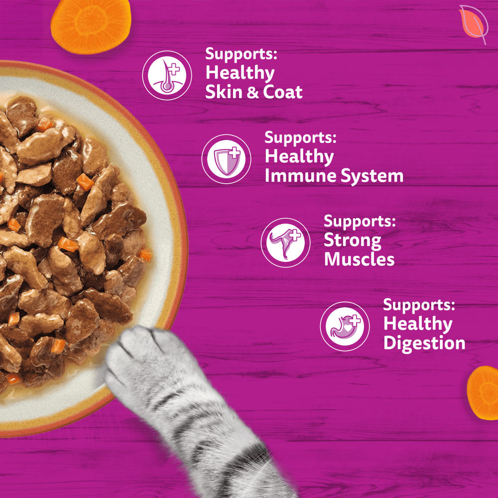 WHISKAS 1+ TASTY MIX Country Collection Wet Cat Food Pouches in Gravy 12 x 85g - 4