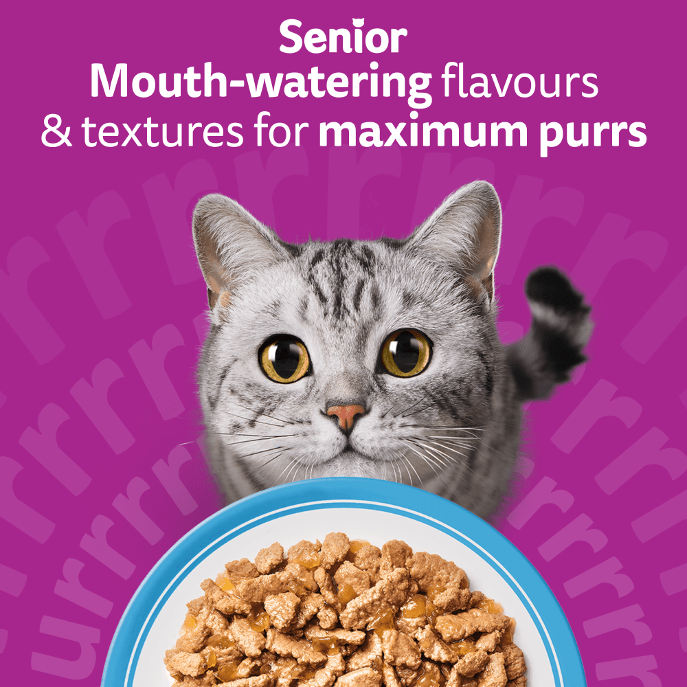 WHISKAS Senior 7+ FISH Favourites Wet Cat Food Pouches in Jelly 12 x 85g - 2