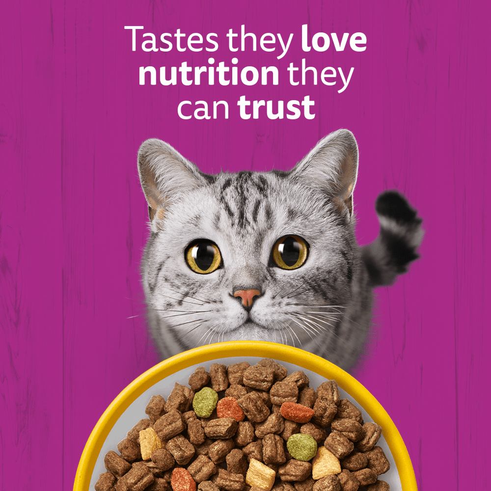 WHISKAS Cat Dry with Chicken Adult 7kg, 3.8kg, 1.9kg, 800g, 300g - 2