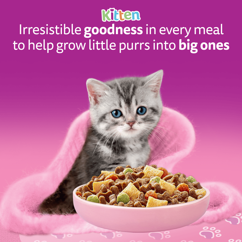 WHISKAS Kitten 2-12 mnths Dry TUNA Cat Food 1.9kg - 2