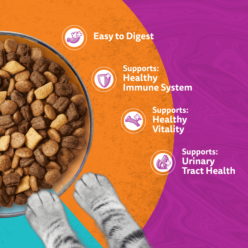 WHISKAS Duo Surf & Turf Adult 7kg, 1.9kg, 800g - 4